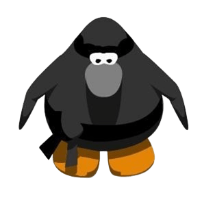Ninja pin